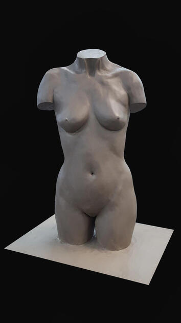 female torso