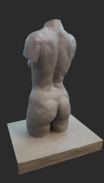 female torso 2